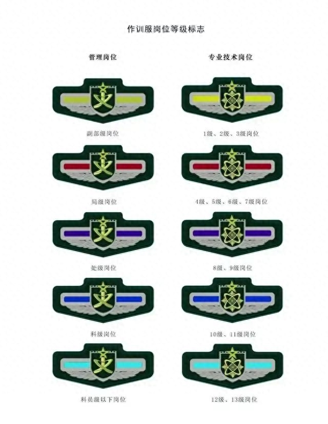 另外一種是著作訓(xùn)服時(shí)佩戴的，參照軍服兵種胸標(biāo)樣式，以兩種設(shè)計(jì)樣式區(qū)分管理崗和專業(yè)技術(shù)崗，以不同顏色區(qū)分不同等級(jí)。